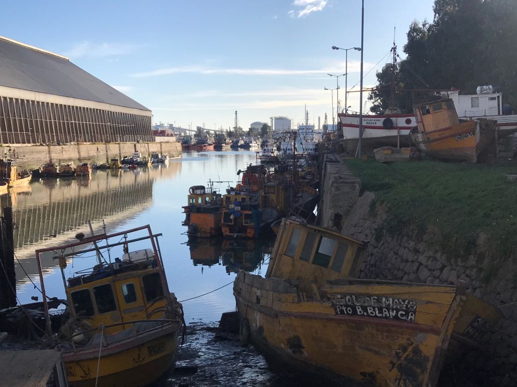 puerto piojo bahia blanca